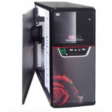 CASE RADO-2
